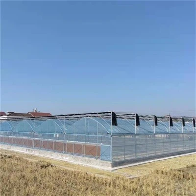 Arch Tip Multi-Spiran staklenik