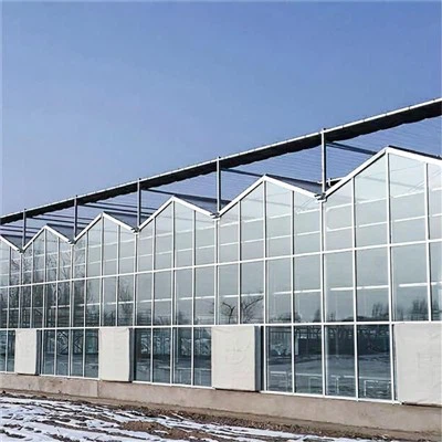 Multi Span Venlo tipa staklenik